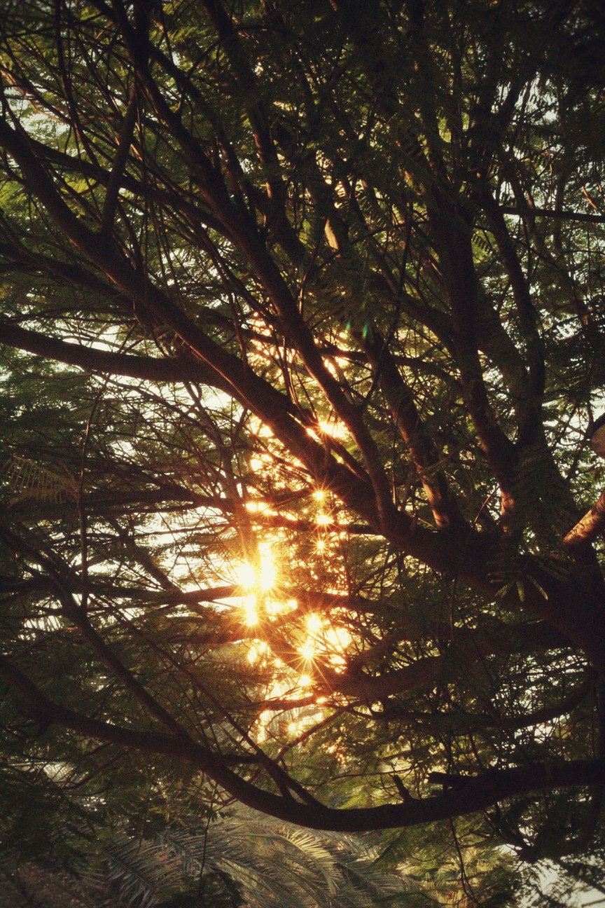 Photography 21