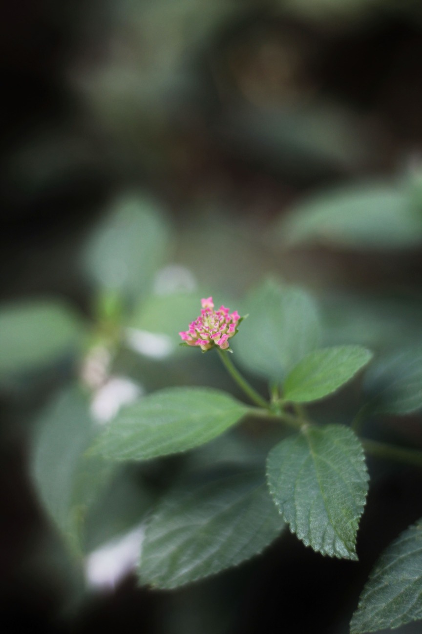Photography 34